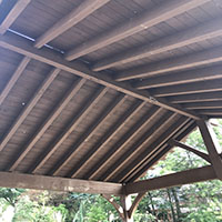 Project Picture